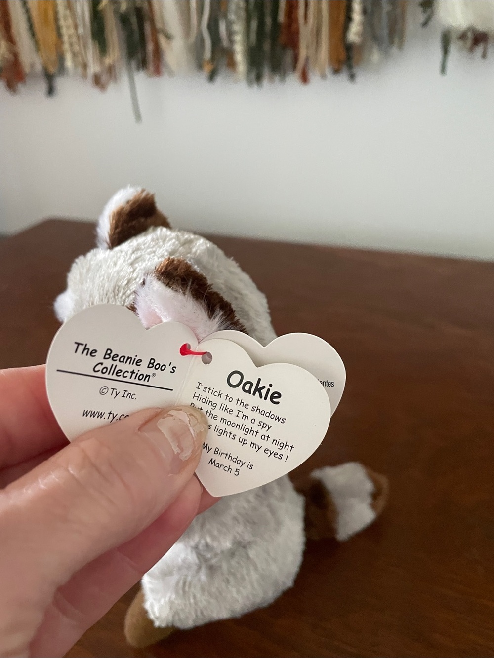 Ty beanie boos Oakie the raccoon - Picture 3 of 3